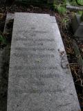 image of grave number 33618
